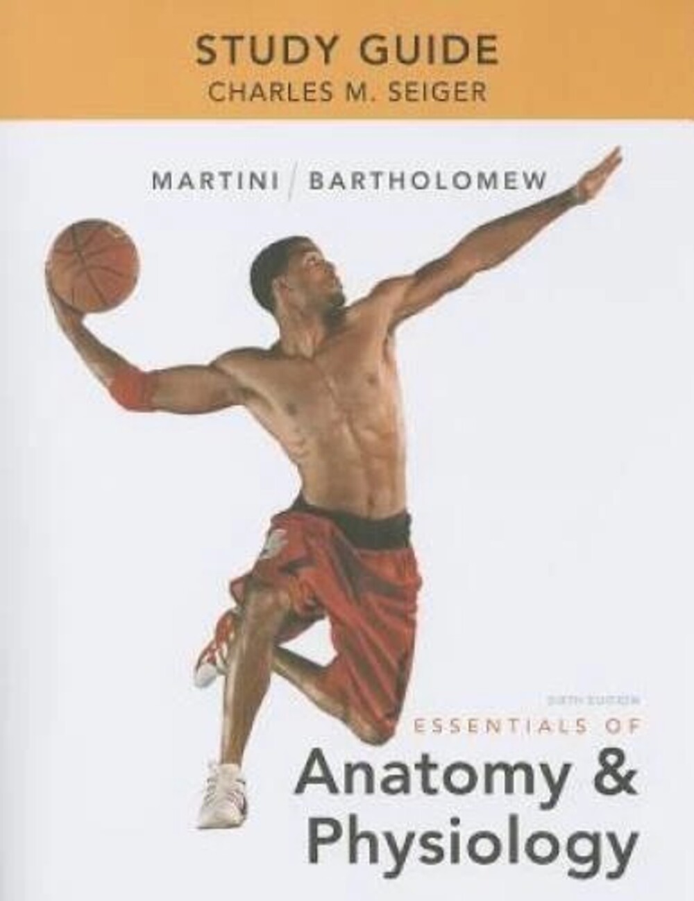 Study Guide for Essentials of Anatomy & Physiology - Paperback - GOOD